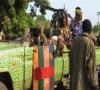 لشگرکشی فرانسه به آفریقا با چراغ سبز سازمان ملل
