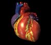 کاهش بیماری های قلبی، عروقی و دیابت با مصرف ویتامین D