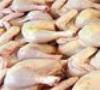 عرضه و تقاضا ، تعیین کننده قیمت مرغ