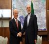 آمانو: ایران تعهداتش را فراتر از توافق با آژانس انجام داده است