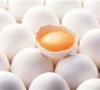 احتمال تصویب پیشنهاد قیمت ۲۸۰۰ تومانی تخم مرغ در جلسه امروز