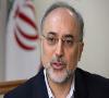 نشست شرم الشیخ برای آماده سازی برگزاری اجلاس سران در تهران است