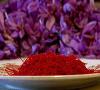 موفقیت محققان ایرانی در تولید داروی ضدافسردگی از زعفران