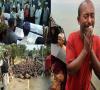 محکومیت کشتار مسلمانان بدست بودائیان میانمار