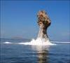 دولت اجازه نمی دهد دریاچه ارومیه خشك شود