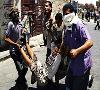تظاهرات در صنعا و تعز به خاک و خون کشیده شد