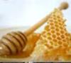 تولید عسل، مشکلات و راهکارهای آن