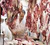 افزایش عرضه گوشت برای ماه رمضان/ اگر بگذارند گوشت ارزان می‌شود!