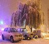 برف و باران و یخبندان۱۱ استان کشور را فرا می گیرد