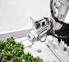 پرورش سبزیجات در مزرعه رباتیک در آمریکا