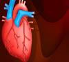 نشانه های مهم بیماری قلبی چیست؟