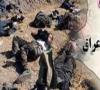هلاکت صدها تروریست در صلاح الدین و الانبار/ فرار خلیفه زخمی به سوریه