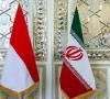 اراده تهران و جاکارتا برای گسترش همکاری ها در دو سوی آسیا