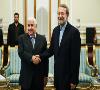 لاریجانی در دیدار وزیر خارجه سوریه: ایستادگی مردم سوریه در برابر توطئه ها تحسین برانگیز است
