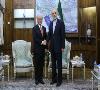 صالحی خبر داد: ترسیم نقشه همکاری‌های جدید ایران و آژانس