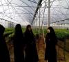 زنان کارآفرین استان البرز از ظرفیت های ایجاد شده عرصه اقتصادی در سایه تدبیر و سیاست های دولت بهره مند خواهند شد