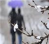 بارش شدید برف در ۱۱ استان کشور و کاهش ۱۰ درجه ای دما از روز شنبه