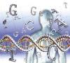 بنیاد ژنتیک در تهران راه‌اندازی می‌شود/ مشاوره پیشگیری بیماری‌های ژنتیکی