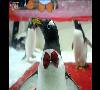 ازدواج پنگوئن‌ها (  تصویری  )
