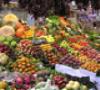 آغاز توزیع میوه تنظیم بازاری از شنبه