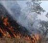 مهار آتش سوزی در پارک ملی گلستان