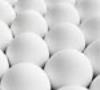 عرضه تخم‌مرغ تولید روز در نمایشگاه‌های بهاره سراسر کشور