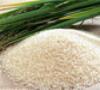 بازار‌ آرام و کاهش 10 درصدی قیمت برنج