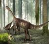 کشف بقایای دایناسور ۲۲۵ میلیون ساله در برزیل