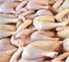 مازاد مرغ تولیدی صادر می شود