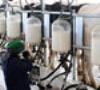 بررسی قیمت پایه شیر خام این هفته در استانداری تهران