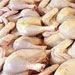 رئیس اتحادیه مرغ گوشتی کشور گفت: قیمت مرغ بستگی به عرضه و تقاضا دارد و ما برای فروش ، قیمت تمام شده به علاوه یک سود منطقی و منصفانه را در نظر می گیریم