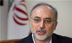 وزیر امور خارجه ایران تاکید کرد که تهران با تعلیق عضویت هر کشوری در سازمان همکاری اسلامی مخالف است.