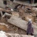 در طول 110 سال اخیر 15 هزار و 139 زلزله بالای 4 ریشتر در ایران به وقوع پیوسته است و بطور میانگین هر 10 سال یک زلزله با قدرت بیشتر از 6 و نیم ریشتر در ایران ثبت شده است. 

 
   
 
