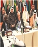 نشست فوق العاده اتحادیه عرب در دوحه برخلاف طرح ۶ماده‌ای کوفی عنان که خواستار تشکیل دولت انتقالی با توافق طرفین شده بود، خواستار تشکیل دولت انتقالی از سوی مخالفان سوریه شد.