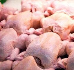 در حالی که طی ماه‌های اخیر قیمت گوشت مرغ رو به افزایش بوده و بازار پرنوسانی را تجربه کرده است، رئیس انجمن پرورش‌دهندگان مرغ گوشتی می گوید گوشت مرغ در بازار گران نیست و مردم به جای خرید از گران‌فروشان، این محصول پروتئینی مورد نیازشان را از میادین میوه