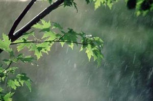 مدیرکل پیش بینی و هشدار سریع سازمان هواشناسی از بارش شدید باران و تگرگ در ۵ استان غربی کشور طی امشب و فردا خبر داد.
