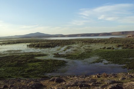 معاون فنی اداره کل محیط زیست آذربایجان غربی از خشک شدن تالاب فصلی درگه سنگی نقده خبر داد.