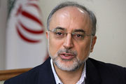 صالحی گفت: دعوت نامه های سران جنبش غیر متعهدها برای شرکت در نشست تهران در حال ارسال است.