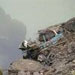 سقوط اتوبوس در رودخانه ای در کشمیر تحت کنترل پاکستان امروز شنبه پنجاه و پنج کشته بر جا گذاشت.
