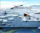 دانشمندان به هسته های یخی با ارزشی از اعماق یخ پهنه های قطب جنوب دست یافته اند