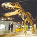 باستان شناسان از کشف فسیل گونه جدید دایناسوری خبر دادند که کوچکترین دایناسور کشف شده روی کره زمین است.
