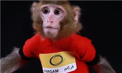 دومین میمون فضانورد با نام فرگام که توسط کاوشگر ایرانی به فضا پرتاپ شده بود سالم به زمین بازگشت.
