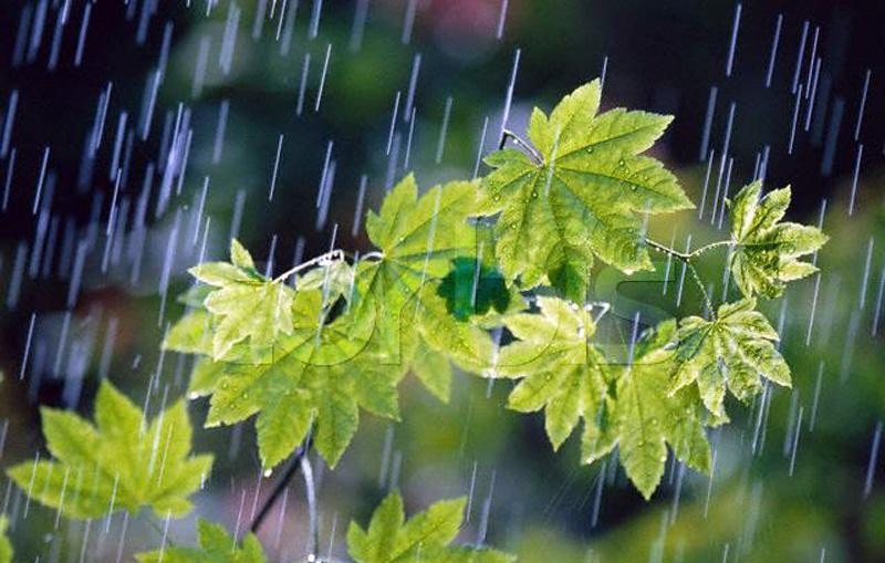 مدیرکل پیش بینی و هشدار سریع سازمان هواشناسی از کاهش نسبی دما در شمال کشور طی 3 روز آینده و بارش پراکنده باران در سواحل خزر خبر داد.