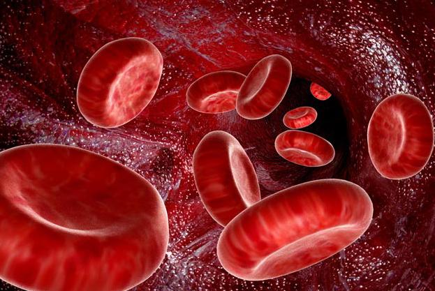 مدیرکل انتقال خون استان قزوین گفت: برای نخستین بار در کشور یک گروه‌خونی نادر در قزوین شناسایی شده است.