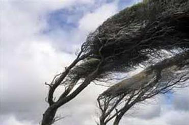 مدیرکل پیش بینی و هشدار سریع سازمان هواشناسی از وزش باد شدید در استان های دامنه جنوبی البرز طی 2 روز آینده خبر داد.