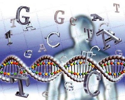 رئیس پژوهشکده علوم غدد درون‌ریز و متابولیسم دانشگاه علوم پزشکی شهید بهشتی با اشاره به مطالعه ژنومی و ژنتیکی طرح «قند و لیپید تهران» گفت: مطالعه ژنومی جمعیت علاوه بر آنکه برای اولین‌بار ژنوم انسانی جمعیت ایران را گزارش می‌کند، به نقاط ژنتیکی که می‌توا