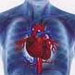 شایع ترین بیماری قلبی در ایران تنگی عروق کرونر، پرفشاری خون و نارسایی قلبی است که به علل مختلف از جمله چربی خون بالا ، دیابت ، استعمال دخانیات ، زمینه ارثی و فشار خون بالا ایجاد می شود. 
