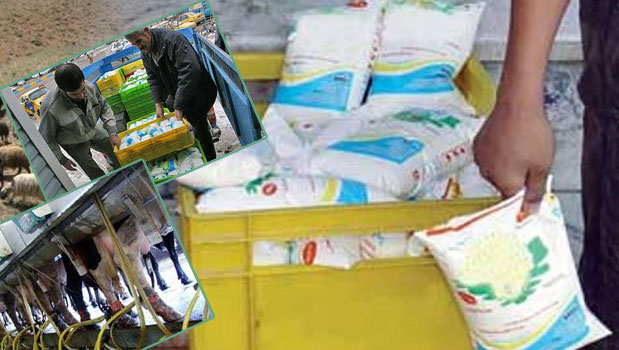 مدیرعامل جهاد کشاورزی استان تهران از نبود نظارت بر قیمت علوفه انتقاد کرد و نبود نظارت را یکی از عوامل افزایش قیمت شیر دانست .