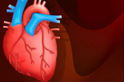 		مهمترین علت پیدایش بیماری های قلبی- عروقی، تصلب شرایین می باشد.