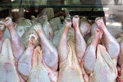 وزیر جهاد کشاورزی از کاهش واردات گوشت قرمز از حدود ۱۹۰ تا ۲۰۰ هزار تن در سال گذشته به ۱۰۰ هزار تن در سال جاری خبر داد.